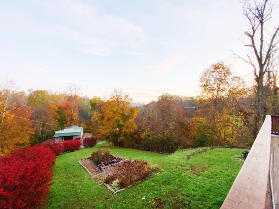 Dog Friendly! Views! Hot Tub! Close To Pf! Gsmnp Sevierville Esterno foto